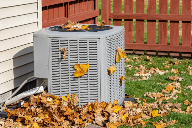 Best HVAC cleaning services  in Homosassa, FL