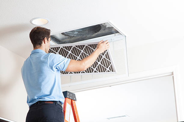 Best Ductless HVAC repair  in Homosassa, FL